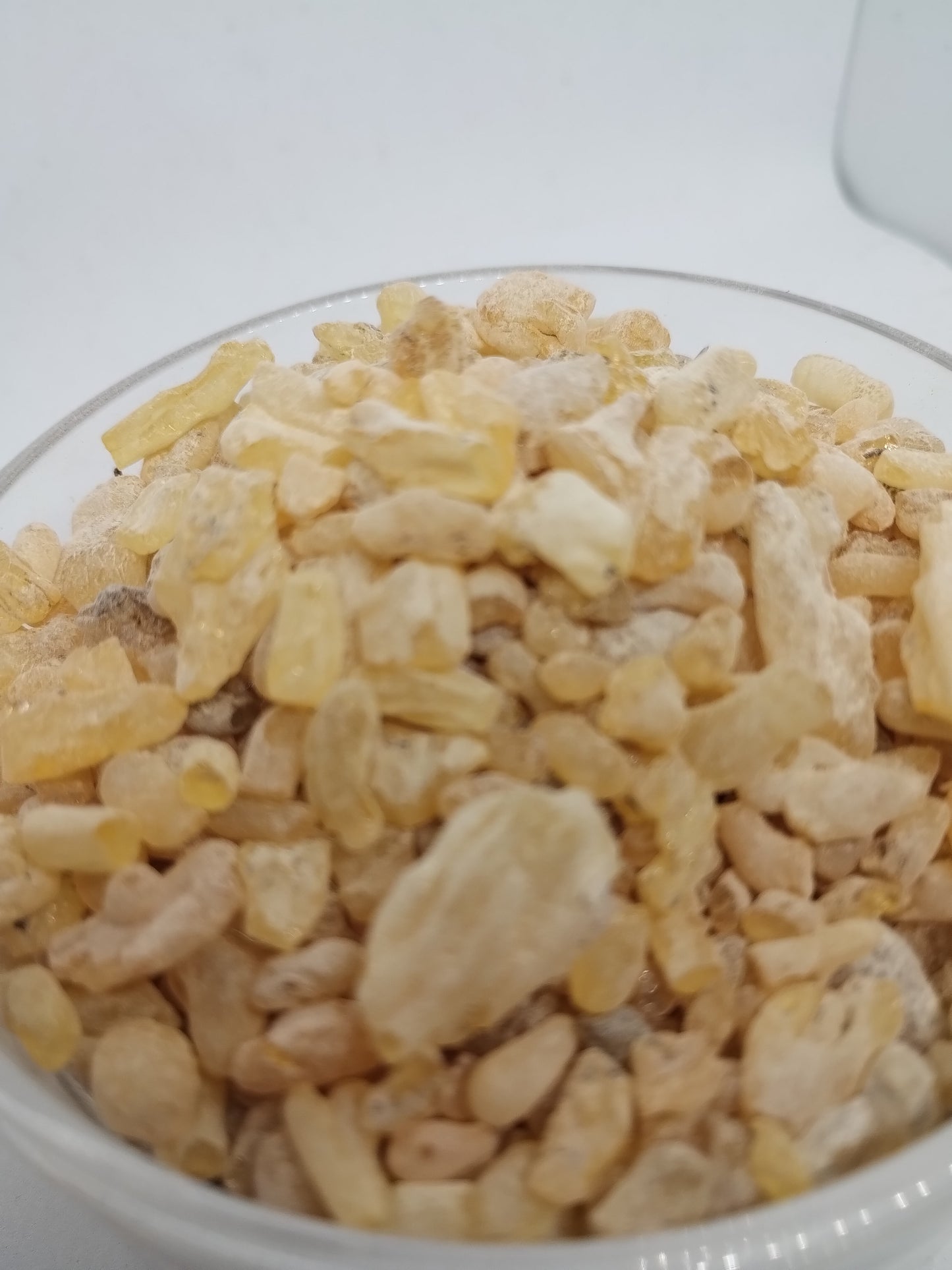 Sandaraca Ancient Resin - Sacred Perfume for Meditation and Rituals