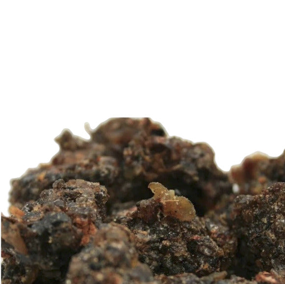 Incenso Guggul (commiphora mukul) - Spiritusya
