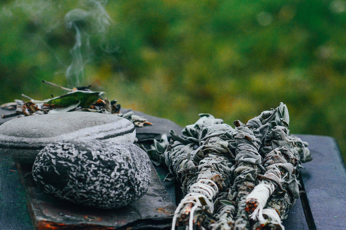 Salvia Bianca Apiana: Non Solo Fumo, Ma un Soffio di Purificazione