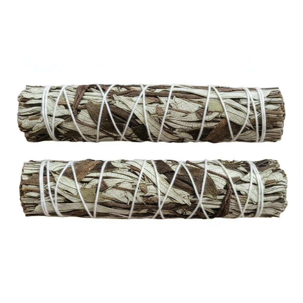 Smusge Stick Erba Santa 13-15 cm