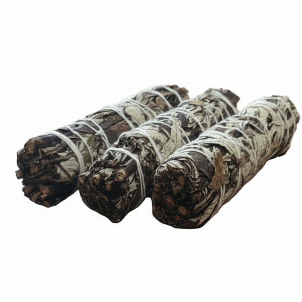 Smusge Stick Erba Santa 13-15 cm
