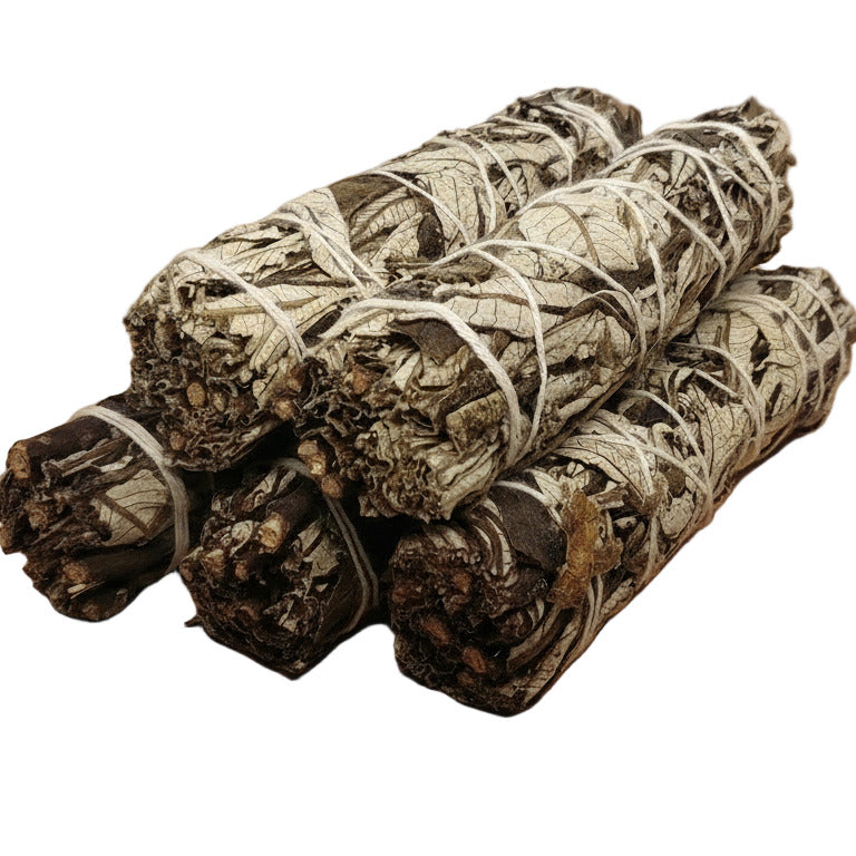 Smusge Stick Erba Santa 13-15 cm
