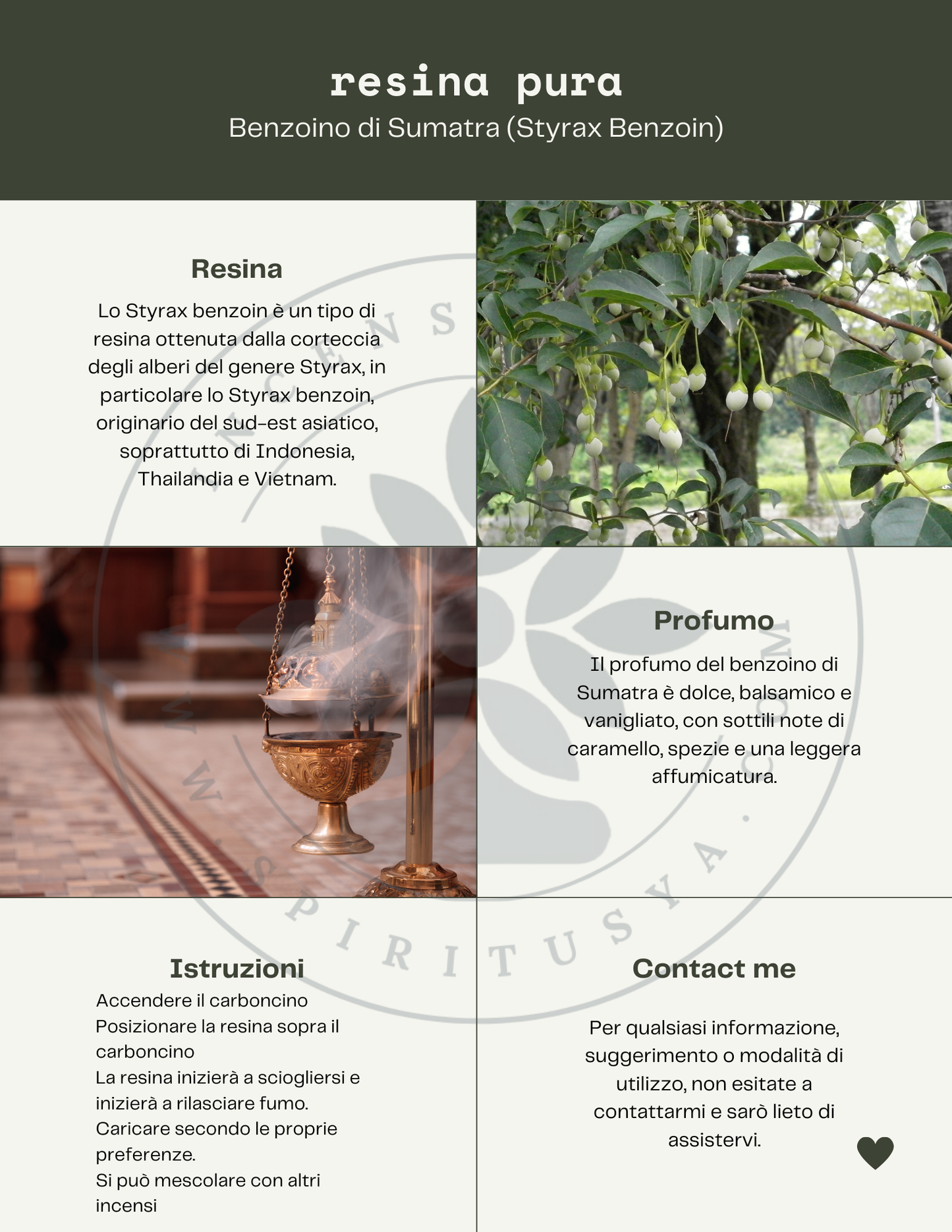Incense grains Sumatran benzoin (Styrax benzoin)