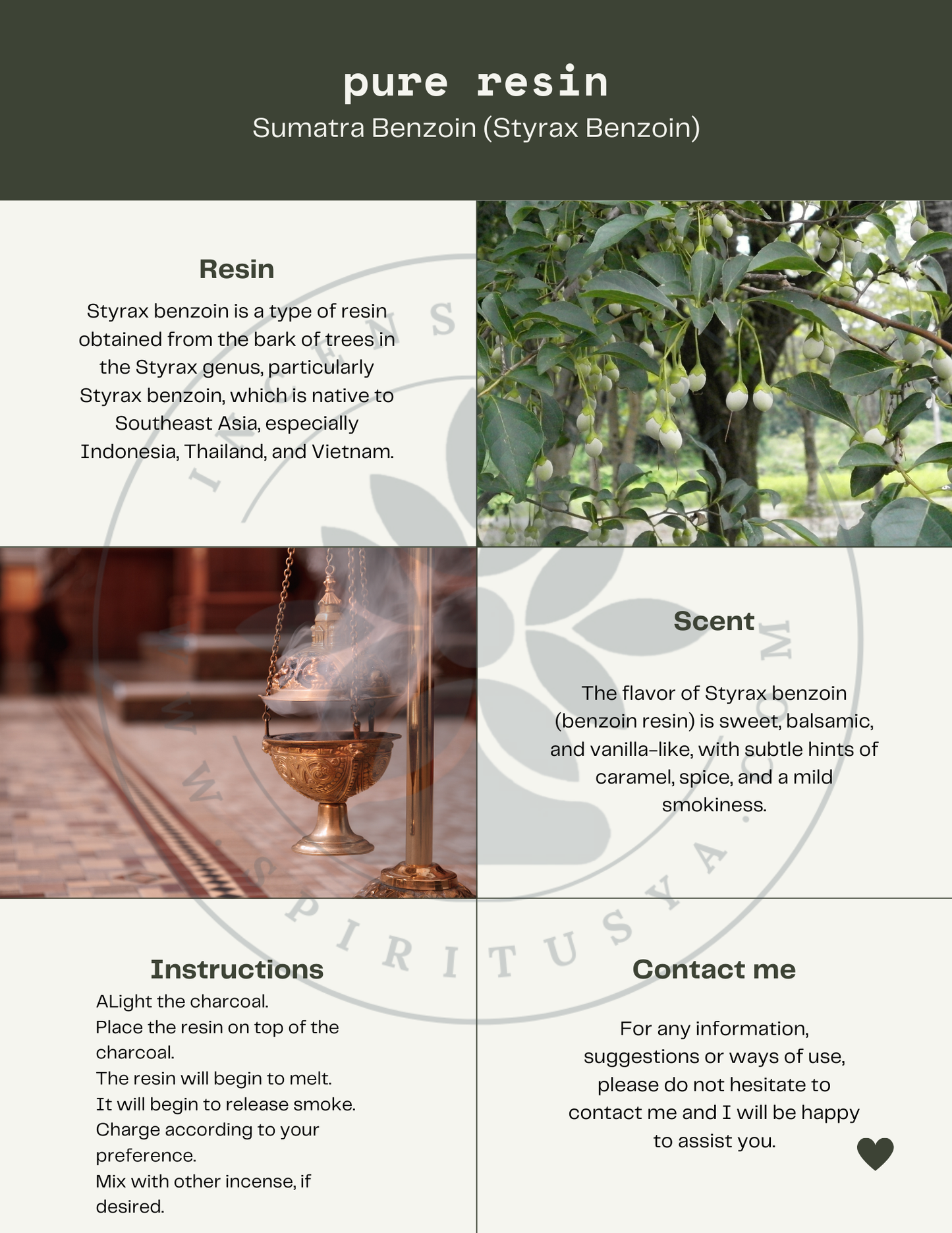 Incense grains Sumatran benzoin (Styrax benzoin)