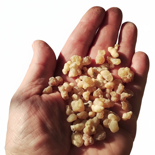 Moxor Incense (Boswellia Sacra)