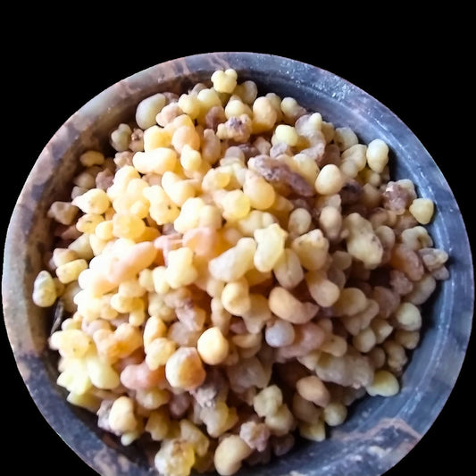Incenso Olibano di Eritrea ( Boswellia papyrifera ) profumo speziato legnoso con note di limone e mirra - Spiritusya