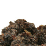 Incenso Guggul (commiphora mukul) - Spiritusya