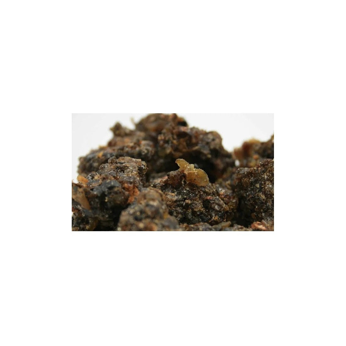 Incenso Guggul (commiphora mukul) - Spiritusya