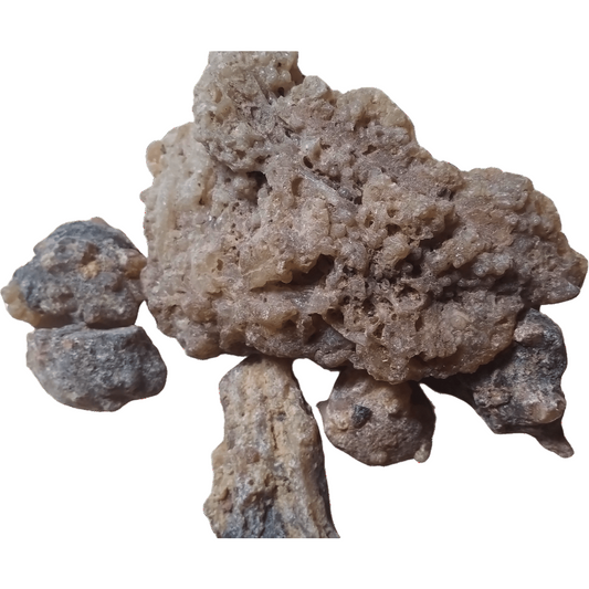 Mirra del Perù (Loxopterygium huasango) - Spiritusya