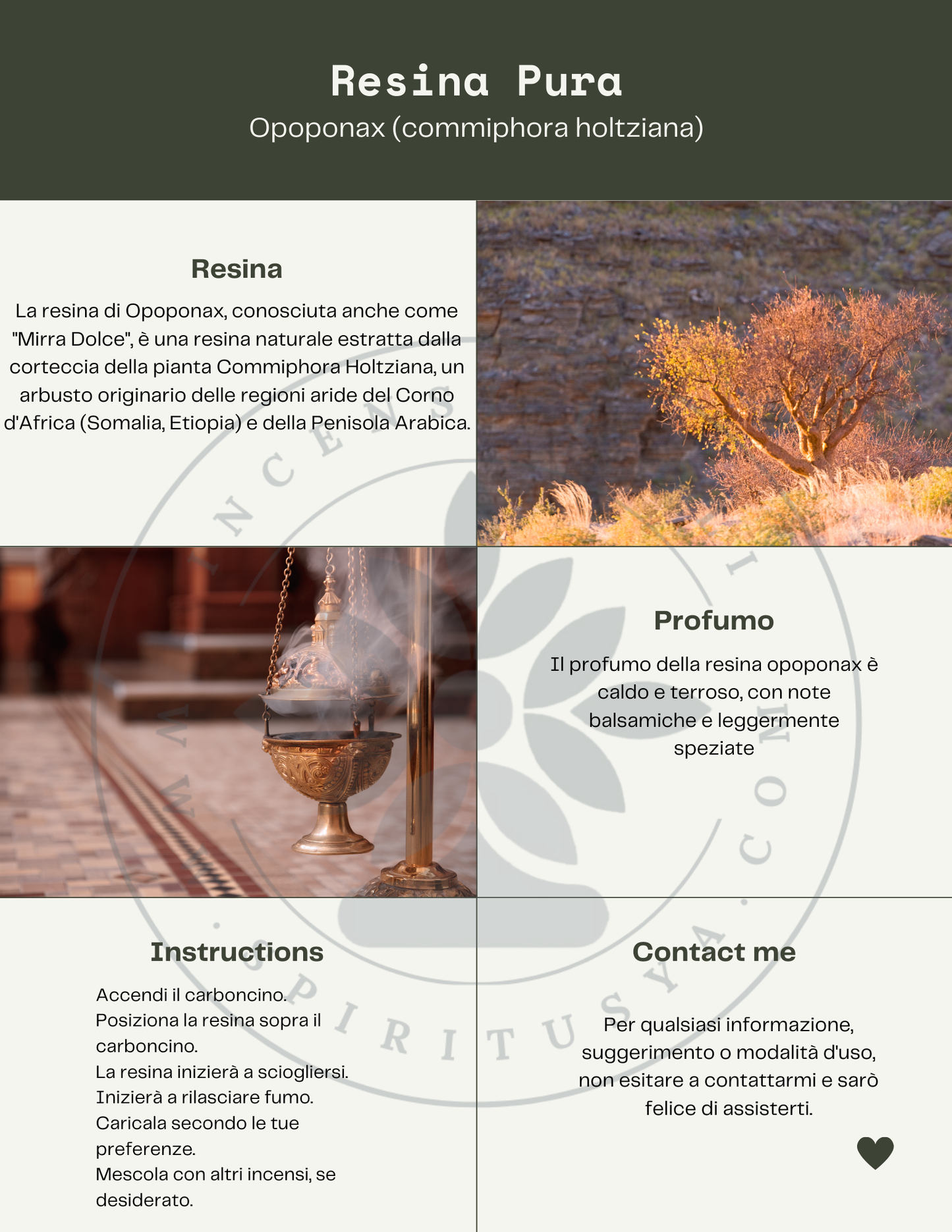Opoponax (Commiphora Holtziana) - Natural incense