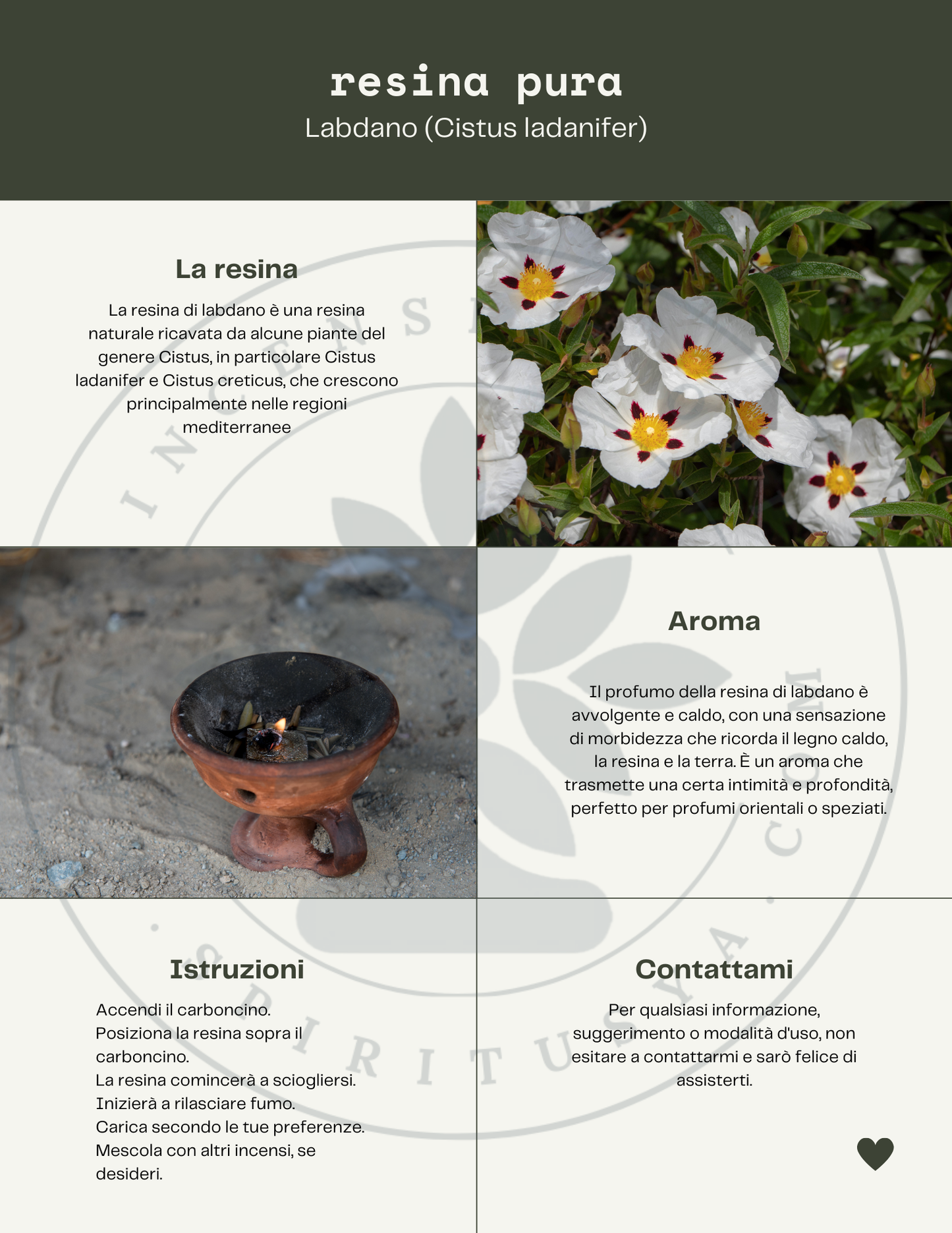 Labdanum resin - Labdanum